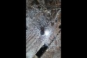 Amaurobius-ferox (17).jpg -|- Last modified: 2019-08-11 13:17:39 